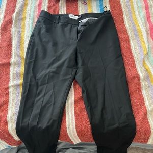 calvin klein trousers